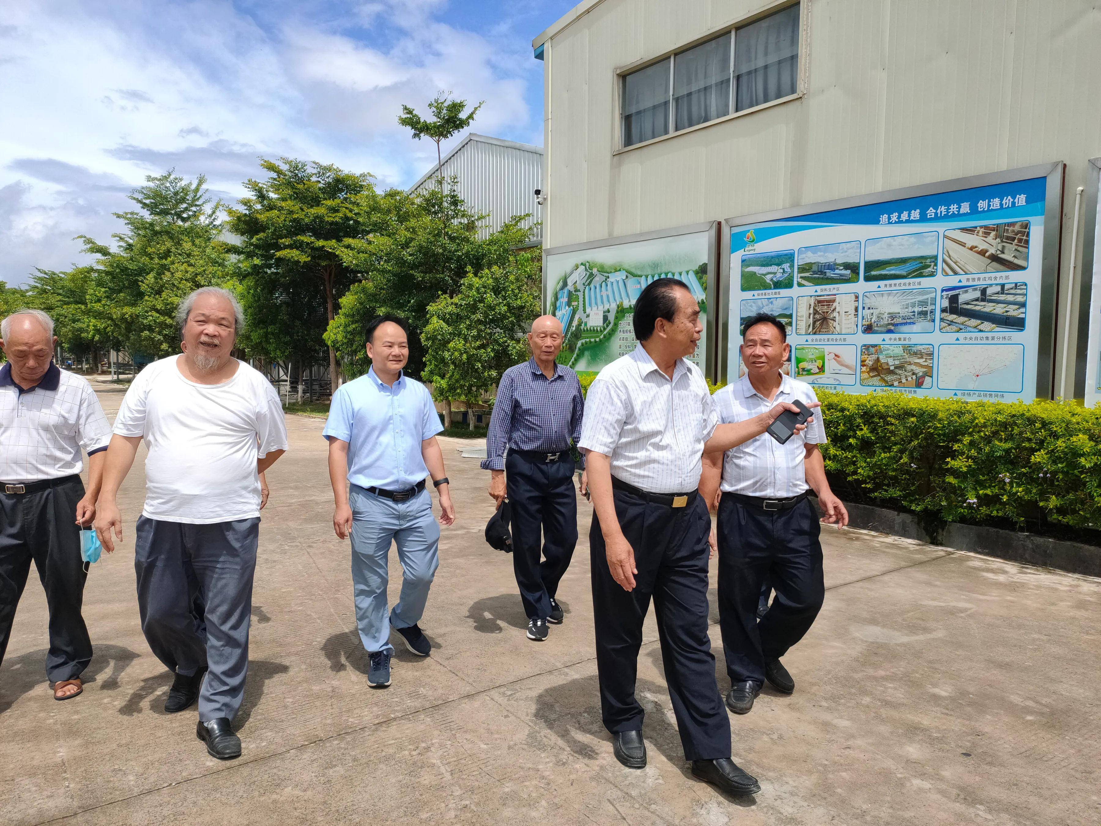 绿杨堪世范 彩凤出山沟